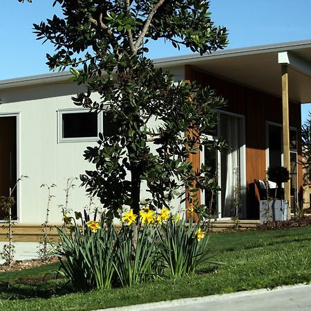 Aviator Villa New Plymouth Bagian luar foto
